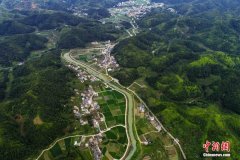 这颗小小的“黄金果”甜了侨乡十万柚农