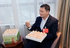 代表行李箱里的新质出产力